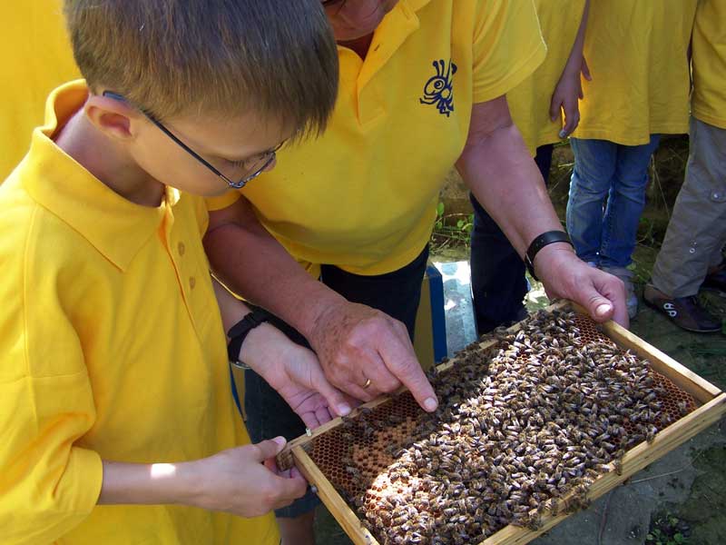 Freizeit-Imker in guter Gesellschaft